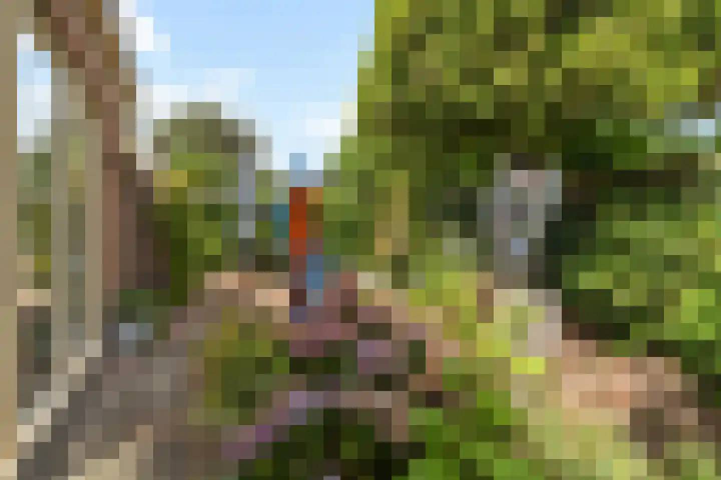 Molenweg 41 Laren thumbnail 27