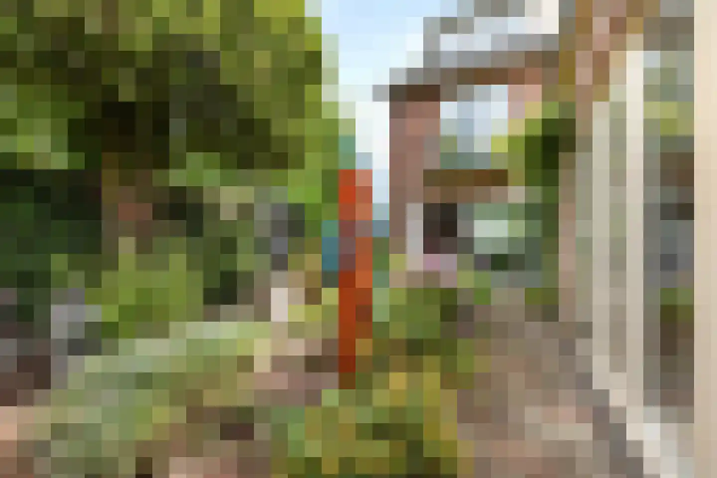 Molenweg 41 Laren thumbnail 30