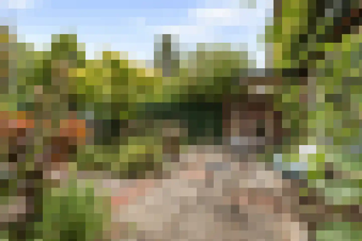 Molenweg 41 Laren thumbnail 32