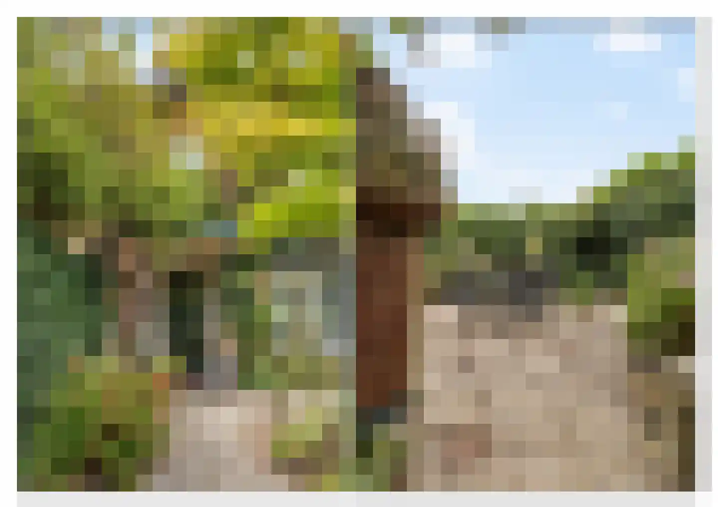 Molenweg 41 Laren thumbnail 33