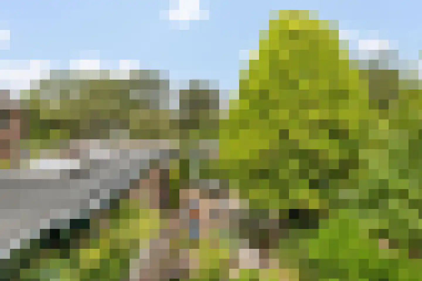 Molenweg 41 Laren thumbnail 35