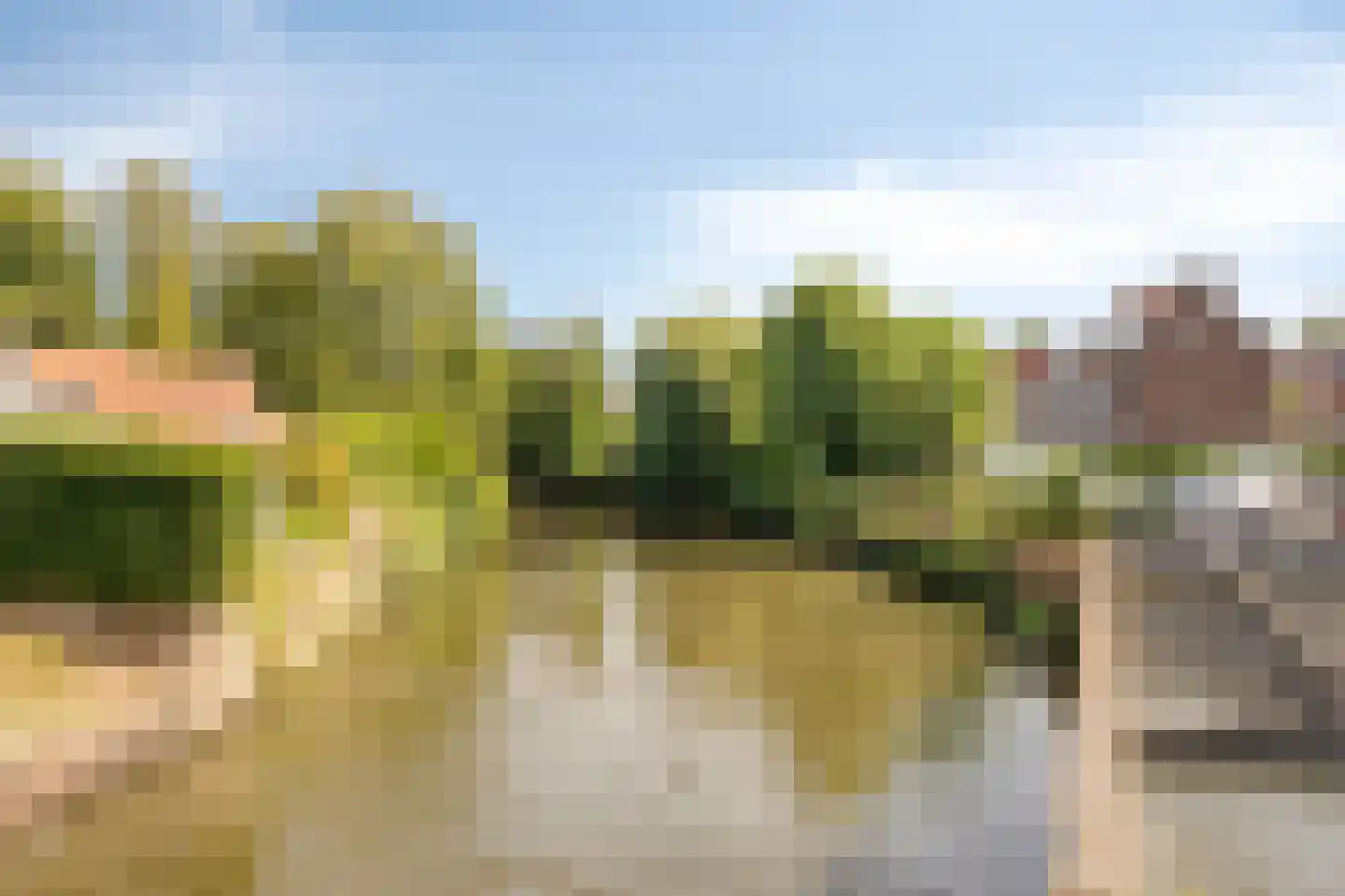 Molenweg 41 Roermond thumbnail 35