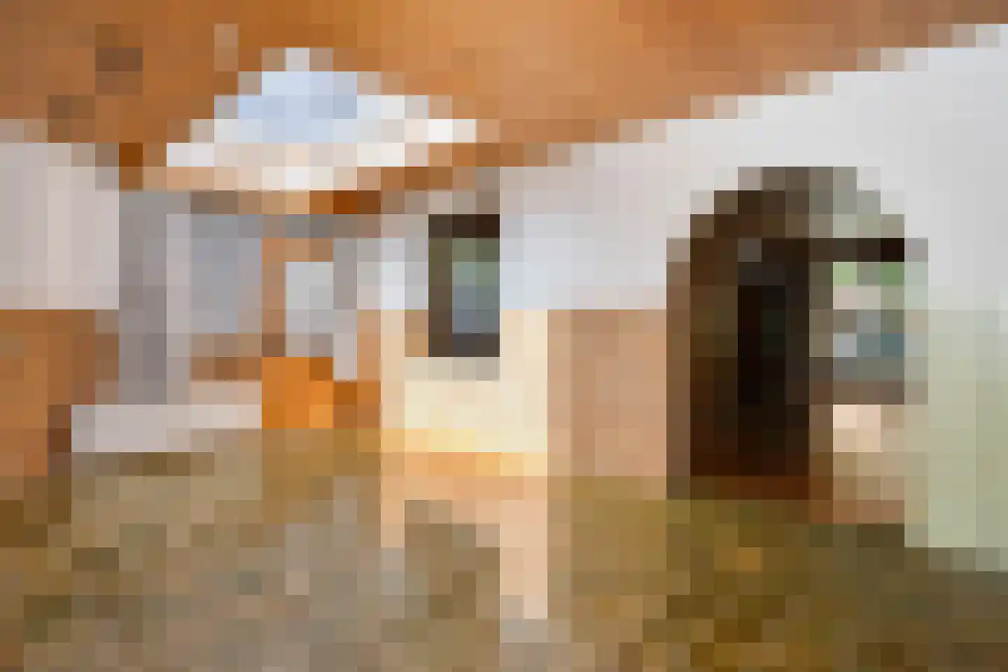 Molenweg 41 Sittard thumbnail 14