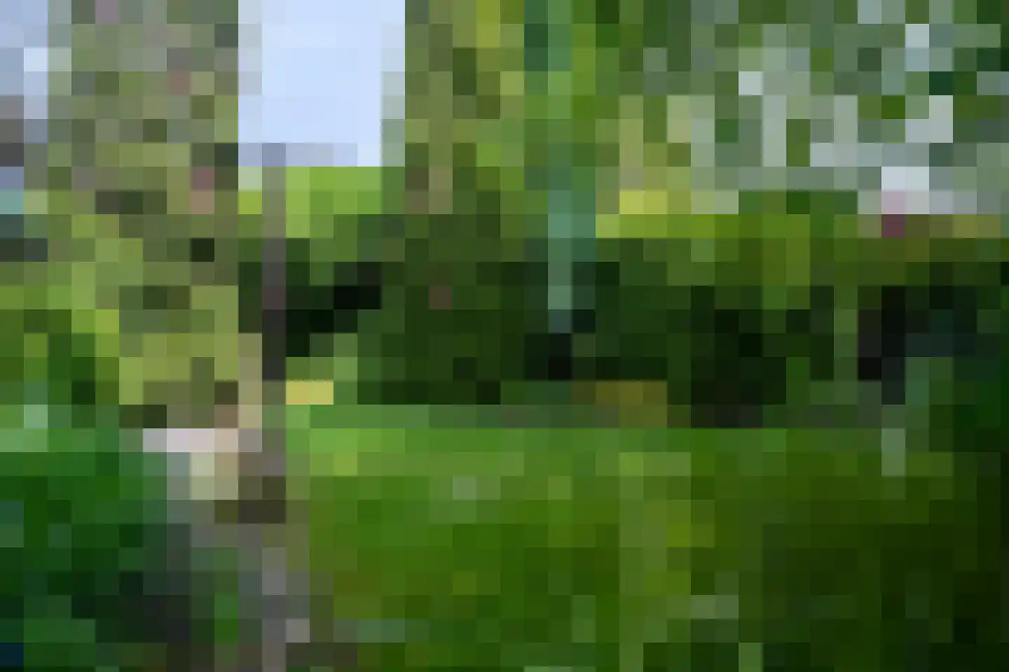 Molenweg 41 Sittard thumbnail 24