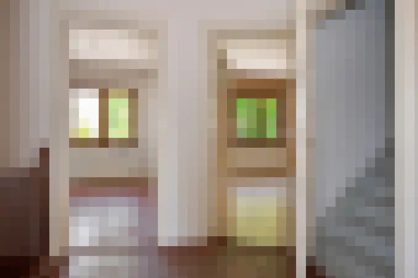 Molenweg 41 Sittard thumbnail 35