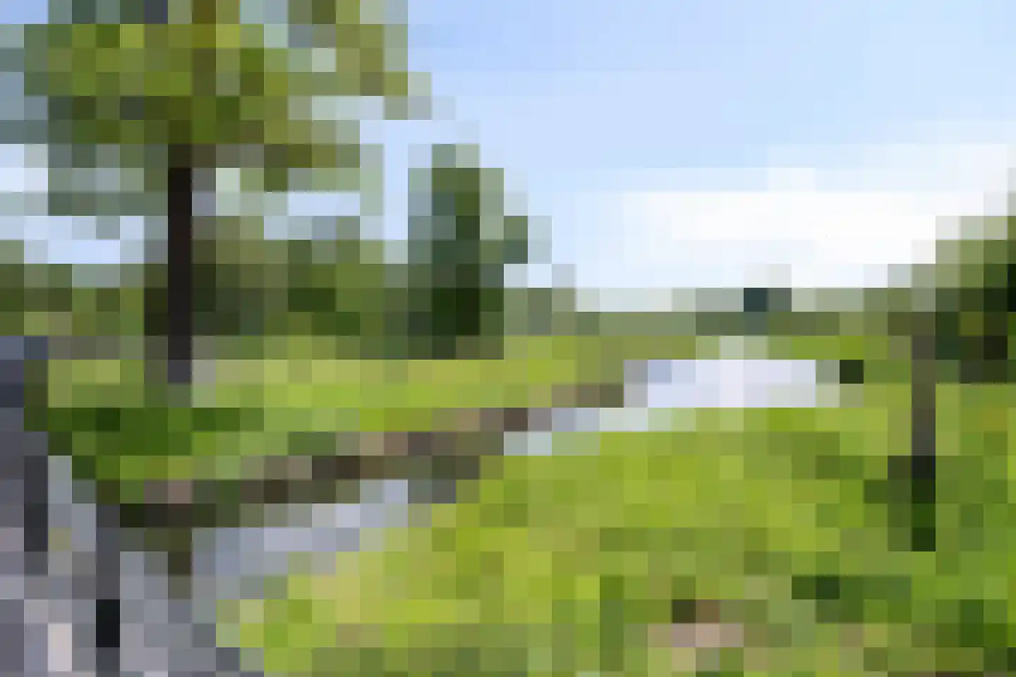 Molenweg 41 Sittard thumbnail 39