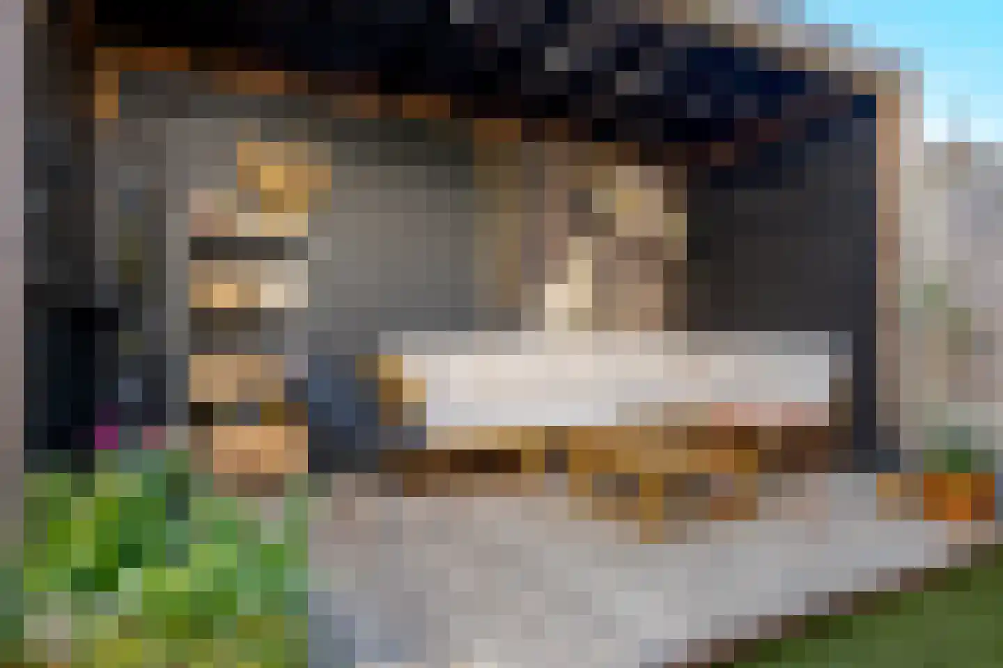 Molenweg 42 Zwolle thumbnail 30