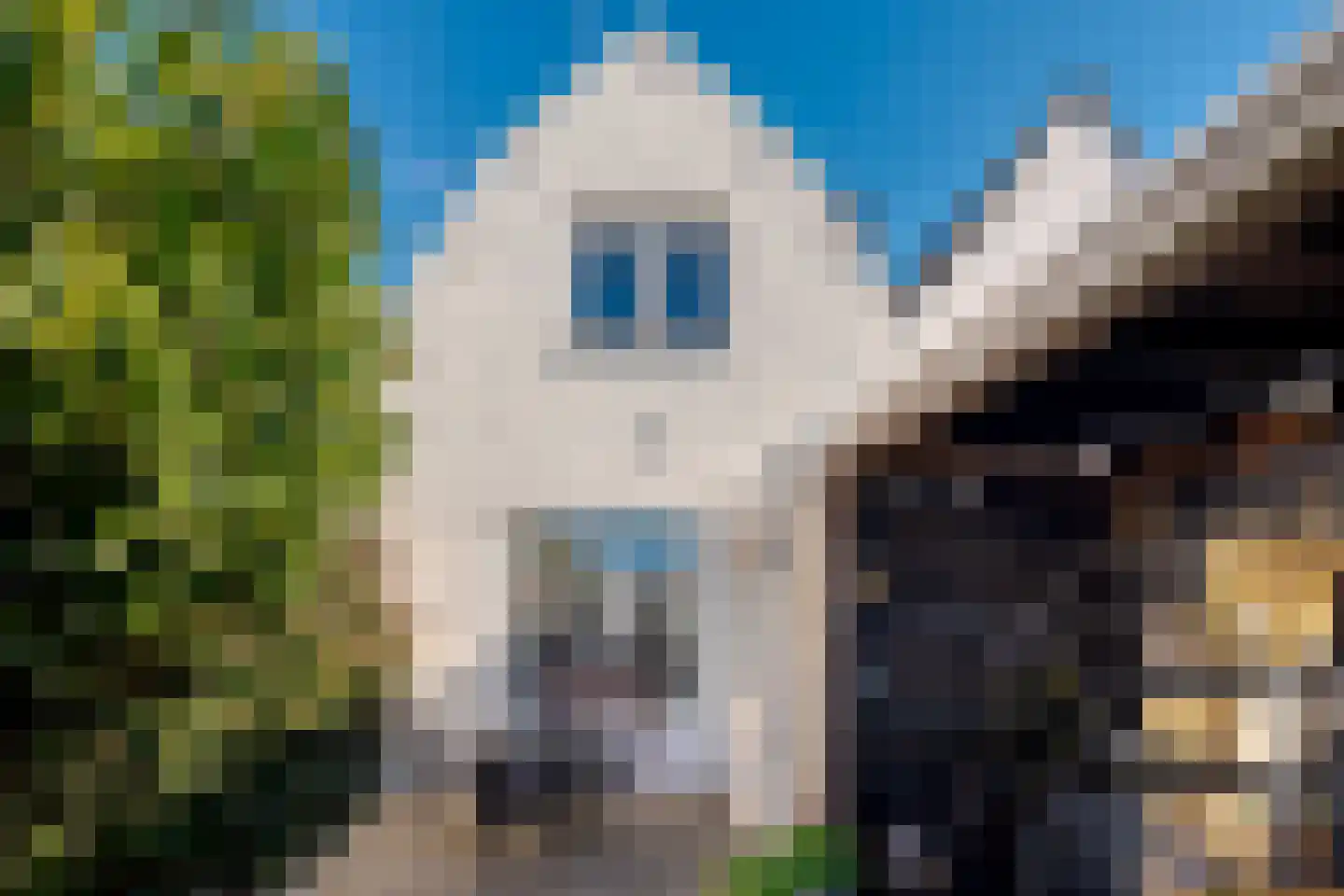 Molenweg 42 Zwolle thumbnail 32