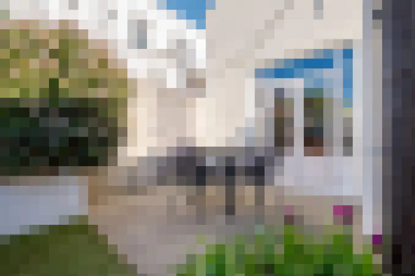 Molenweg 42 Zwolle thumbnail 33