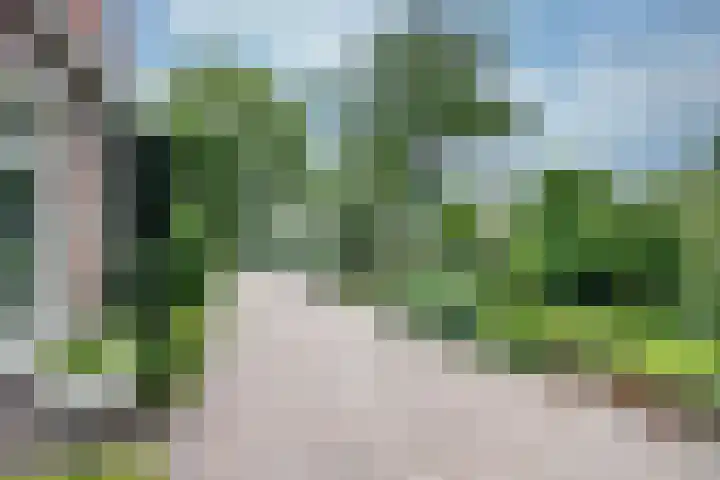 Molenweg 43 Aalsmeerderbrug thumbnail 8