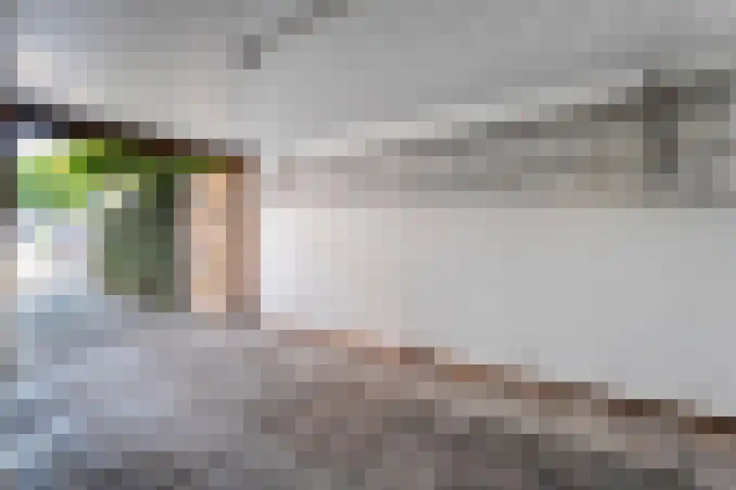 Molenweg 43 Balkbrug thumbnail 45