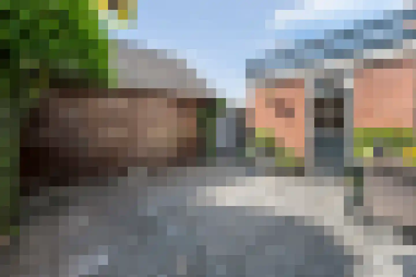 Molenweg 43 Balkbrug thumbnail 52