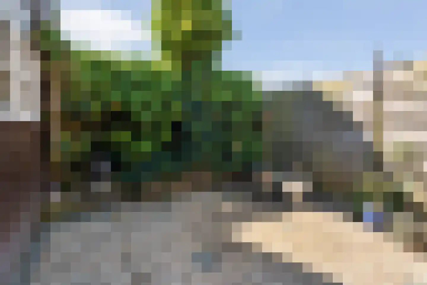 Molenweg 43 Balkbrug thumbnail 54