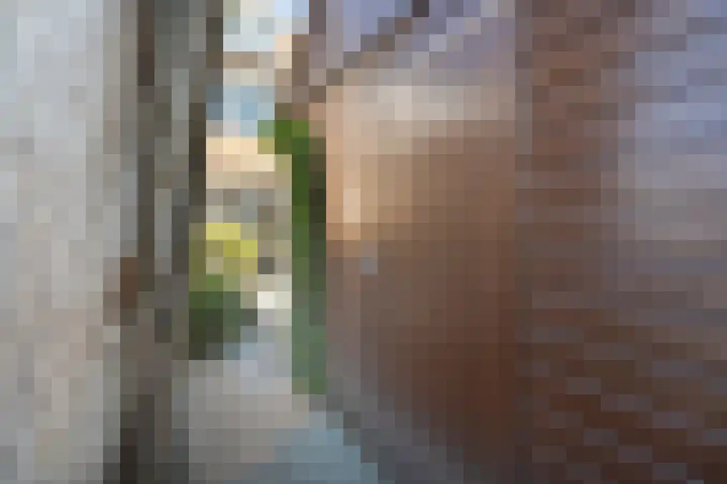 Molenweg 43 Balkbrug thumbnail 55
