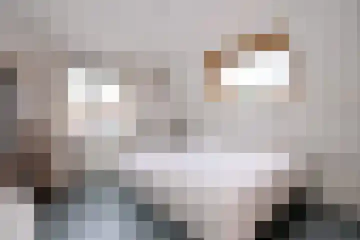 Molenweg 43 Gorssel thumbnail 18