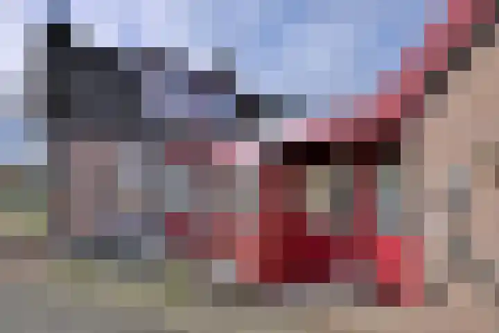 Molenweg 43 Gorssel foto 2