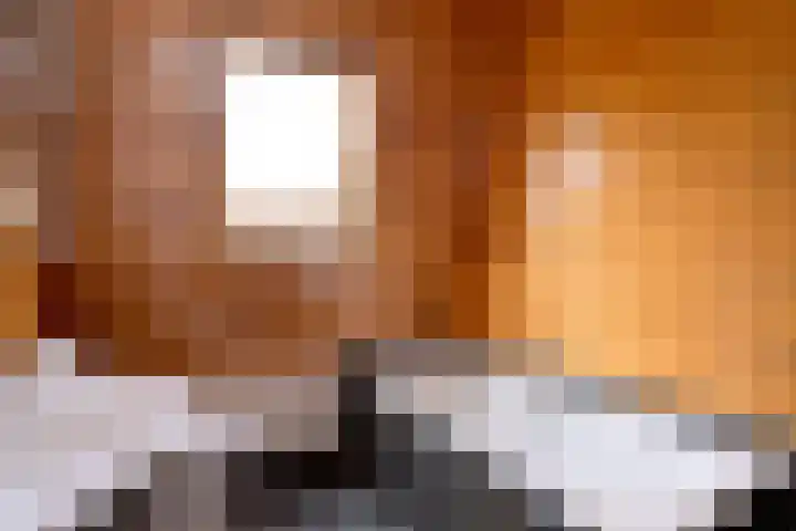 Molenweg 43 Gorssel thumbnail 20