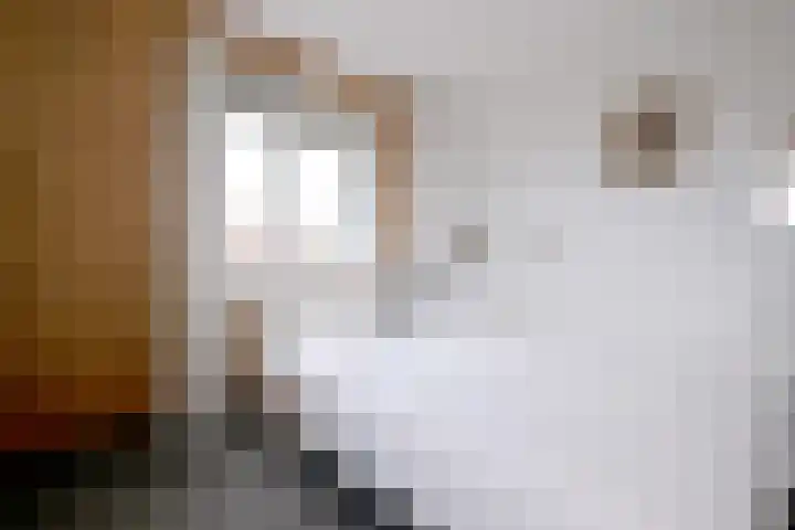 Molenweg 43 Gorssel thumbnail 21