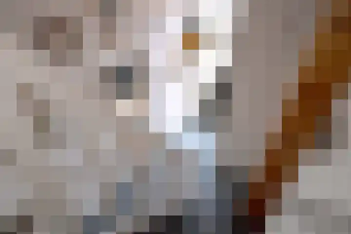 Molenweg 43 Gorssel thumbnail 25