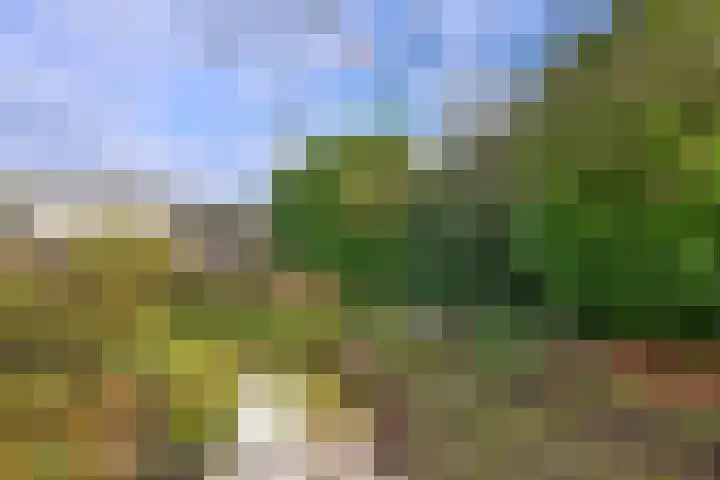Molenweg 43 Gorssel thumbnail 27