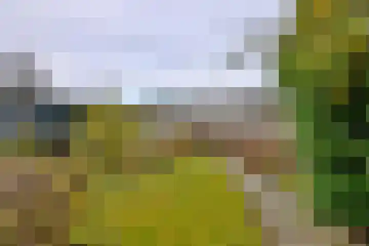 Molenweg 43 Gorssel thumbnail 28