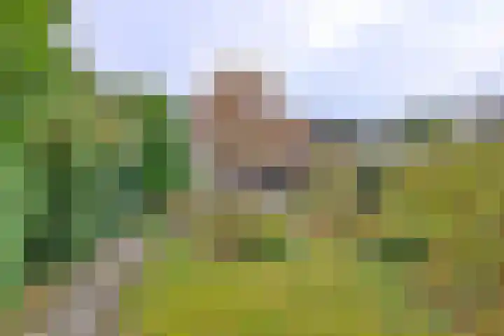 Molenweg 43 Gorssel thumbnail 29