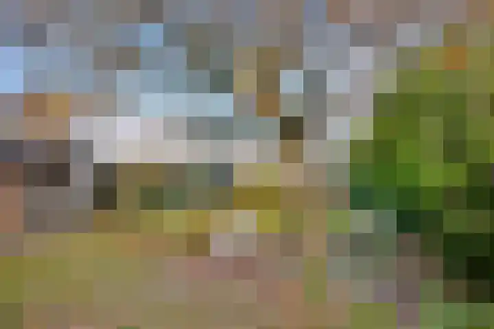Molenweg 43 Gorssel thumbnail 4