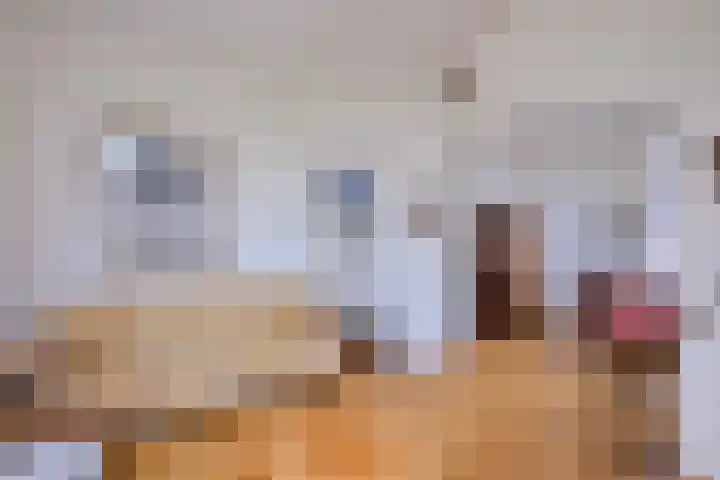 Molenweg 43 Gorssel thumbnail 8