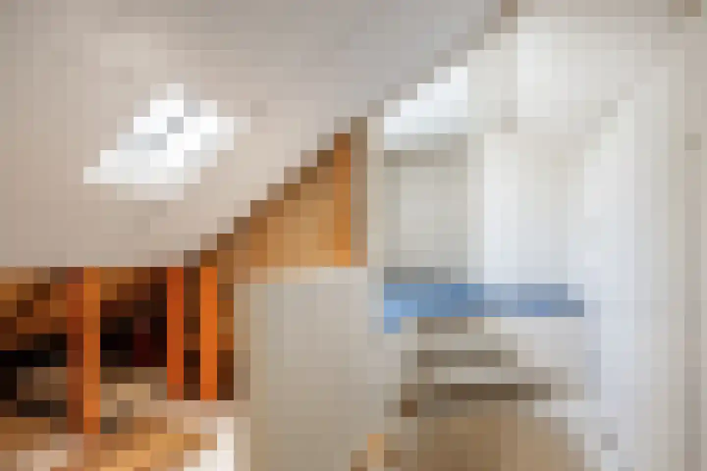 Molenweg 43 Loppersum thumbnail 32