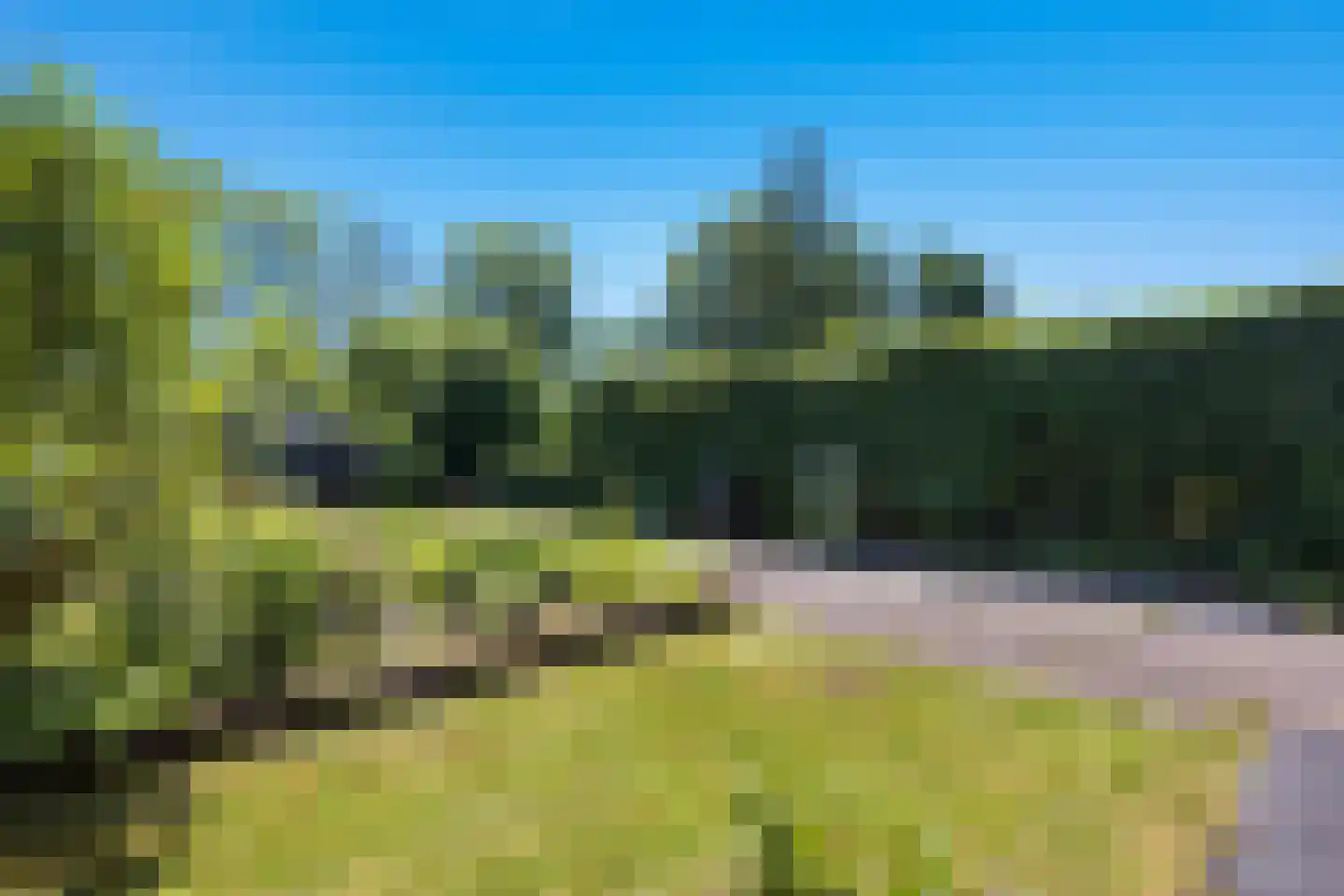 Molenweg 43 Loppersum thumbnail 41