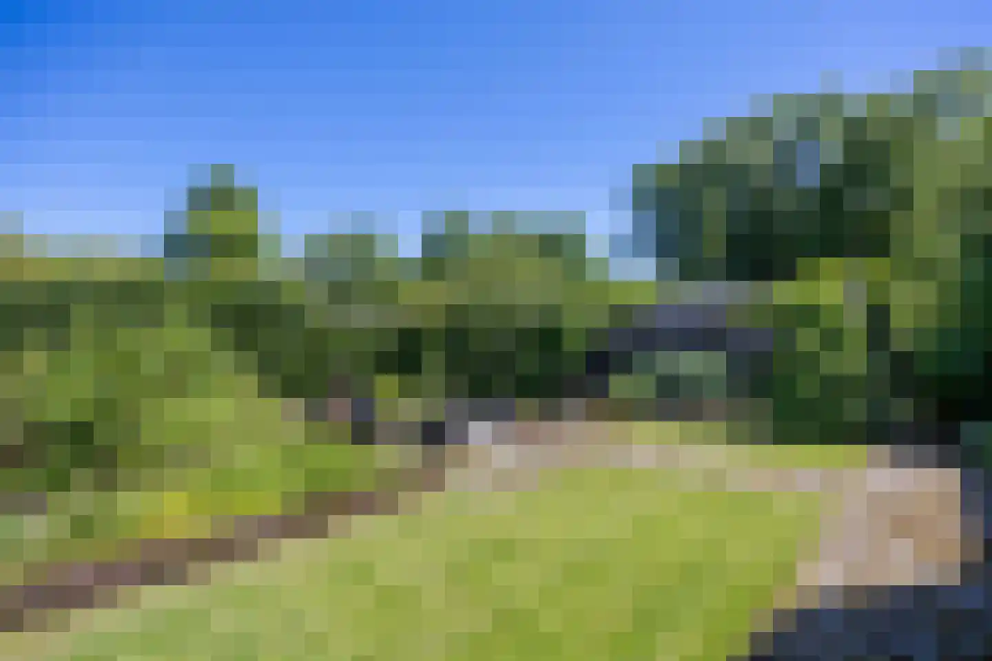 Molenweg 43 Loppersum thumbnail 42