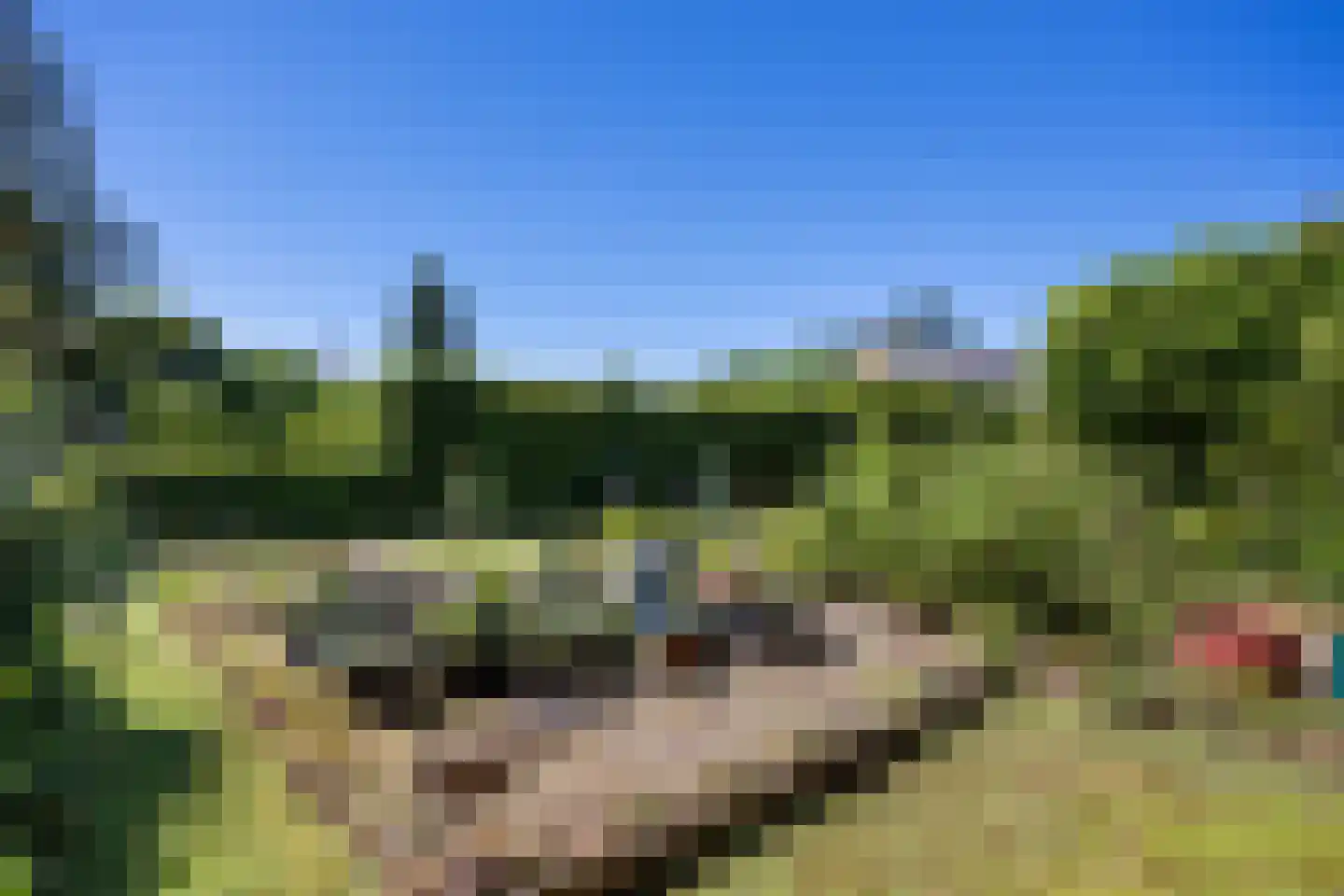 Molenweg 43 Loppersum thumbnail 43