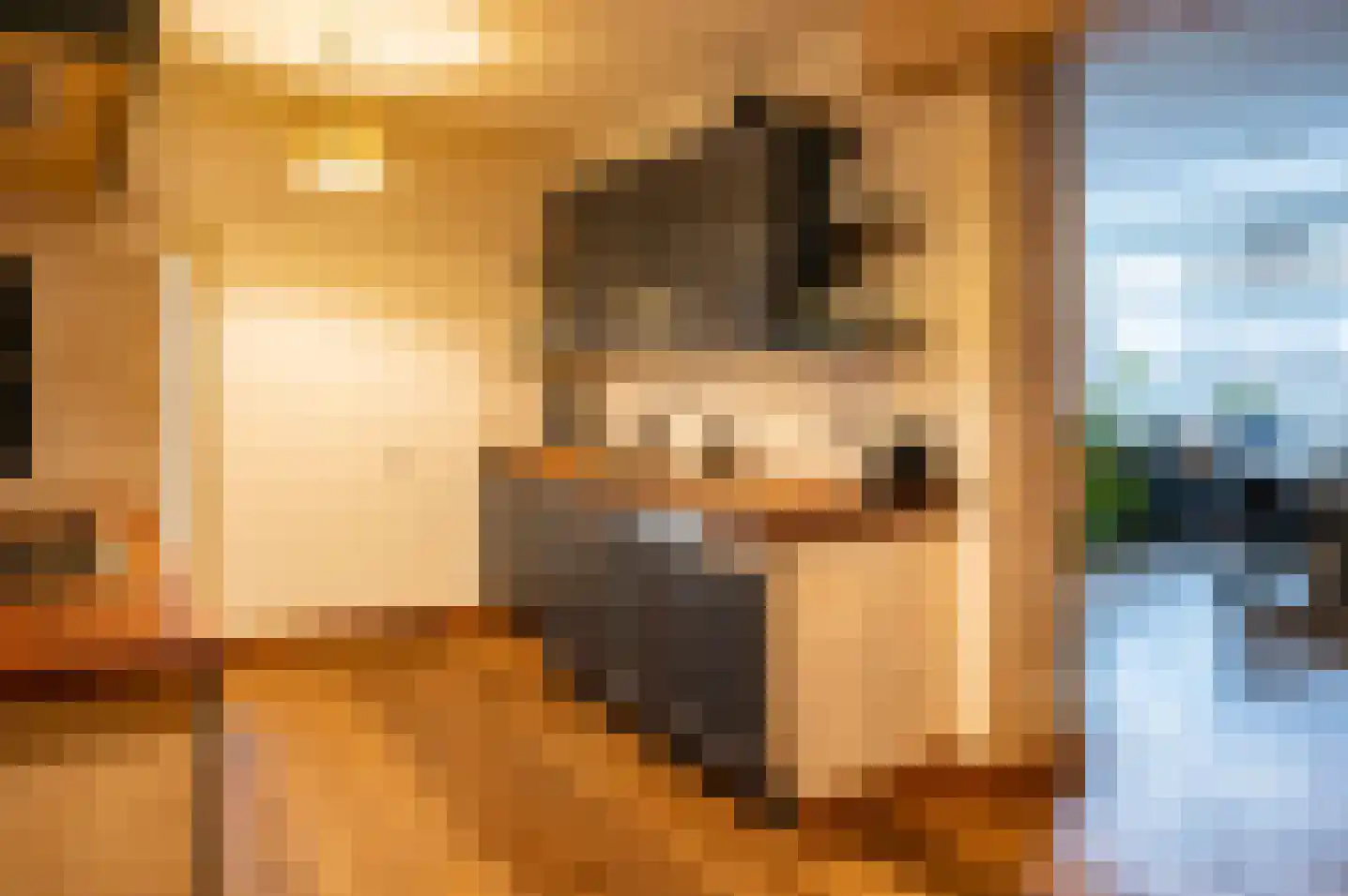 Molenweg 43 Vorden thumbnail 18