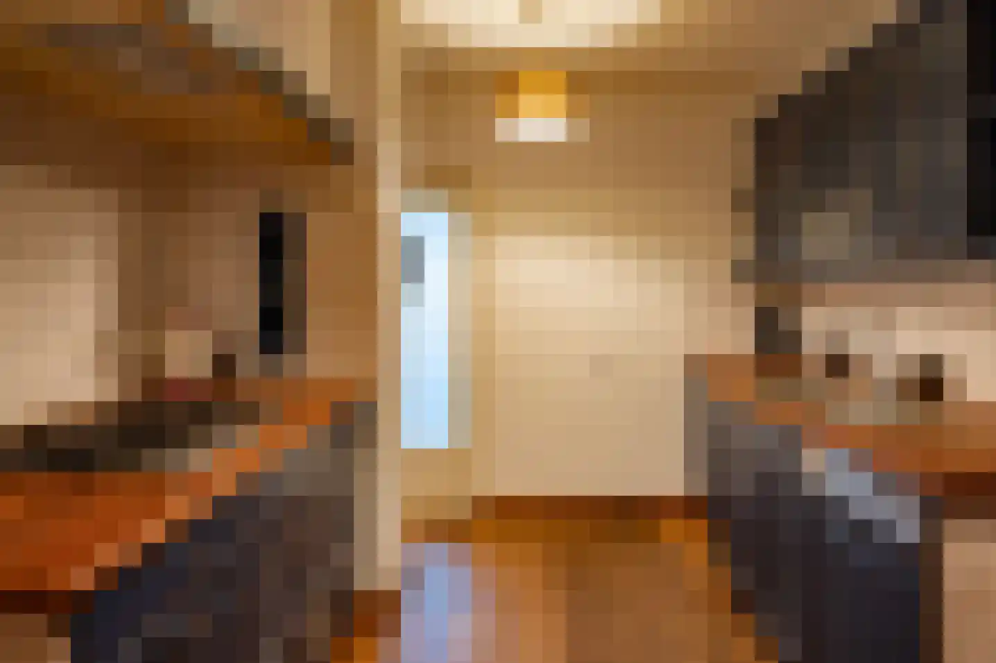 Molenweg 43 Vorden thumbnail 19