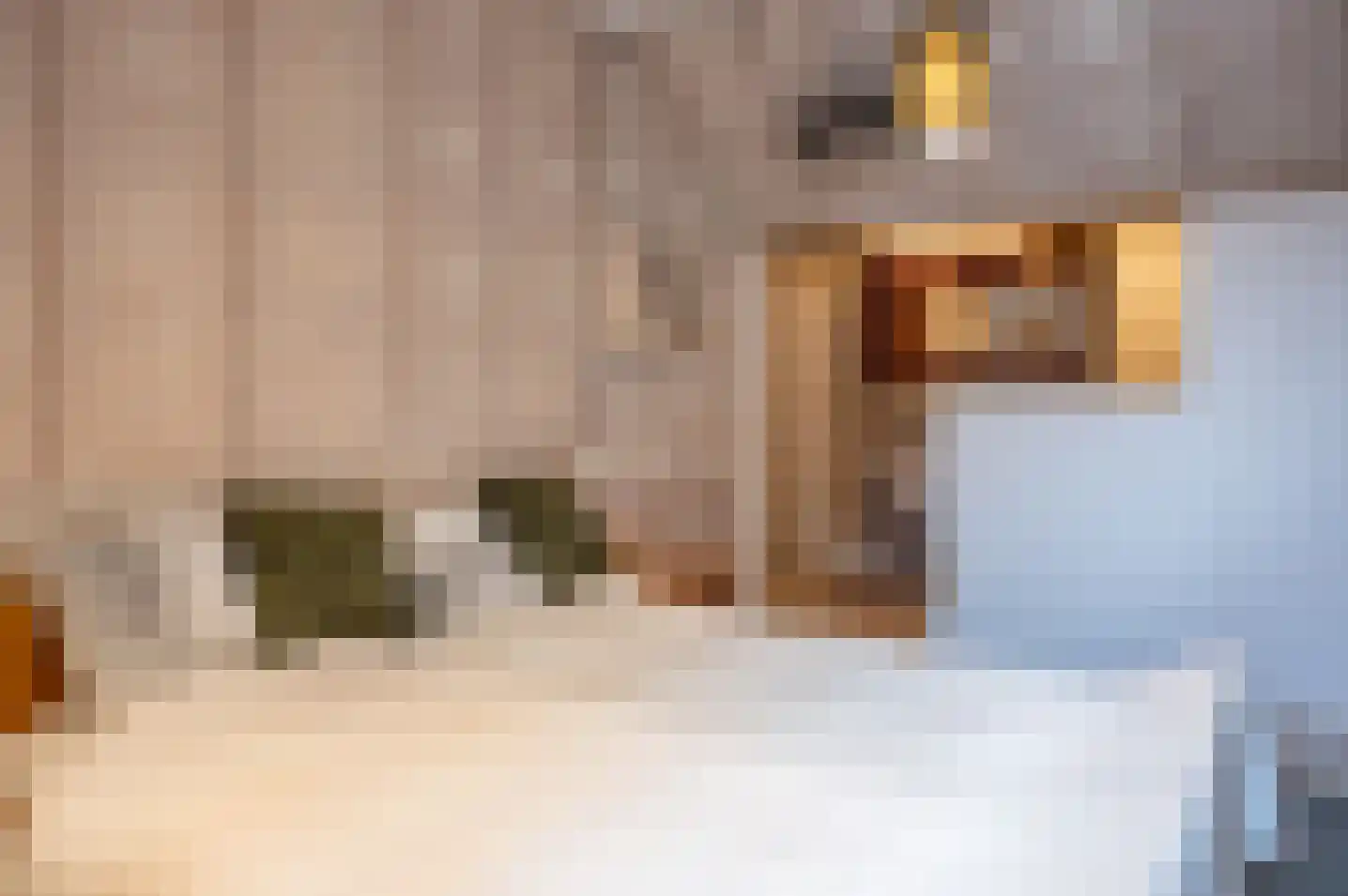 Molenweg 43 Vorden thumbnail 22
