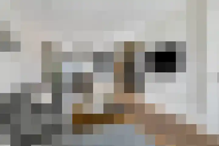 Molenweg 44 Monster thumbnail 11