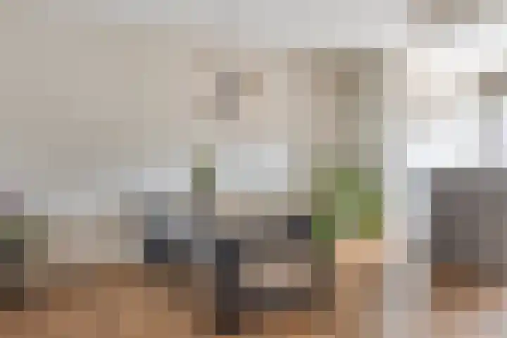 Molenweg 44 Monster thumbnail 13