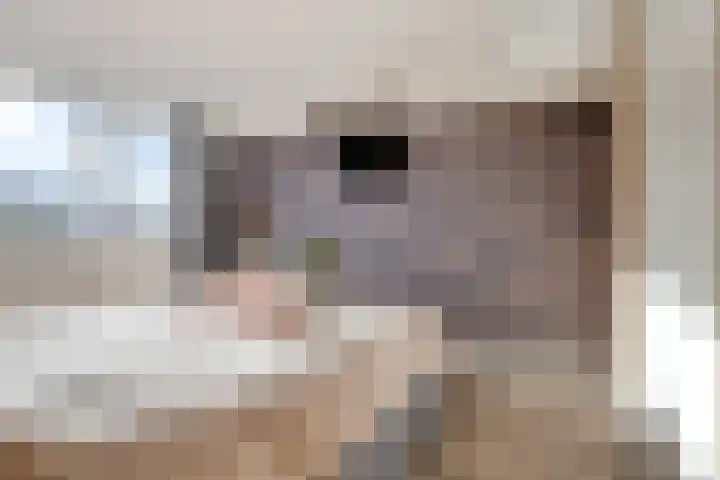 Molenweg 44 Monster thumbnail 30