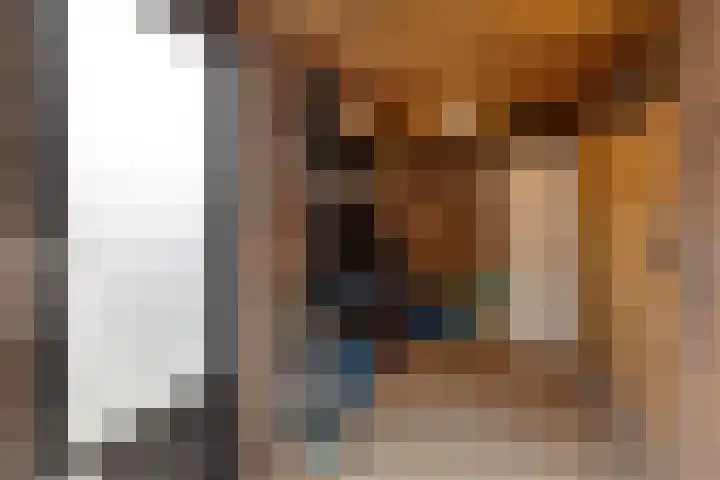 Molenweg 44 Monster thumbnail 45