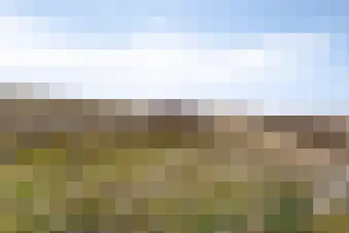 Molenweg 44 Monster thumbnail 47