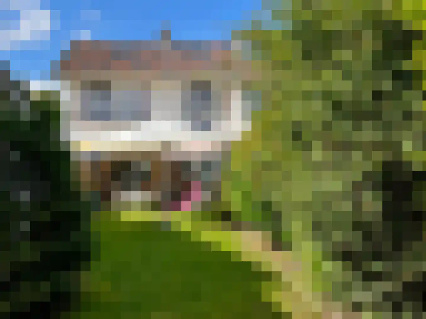 Molenweg 45 Baarn thumbnail 18