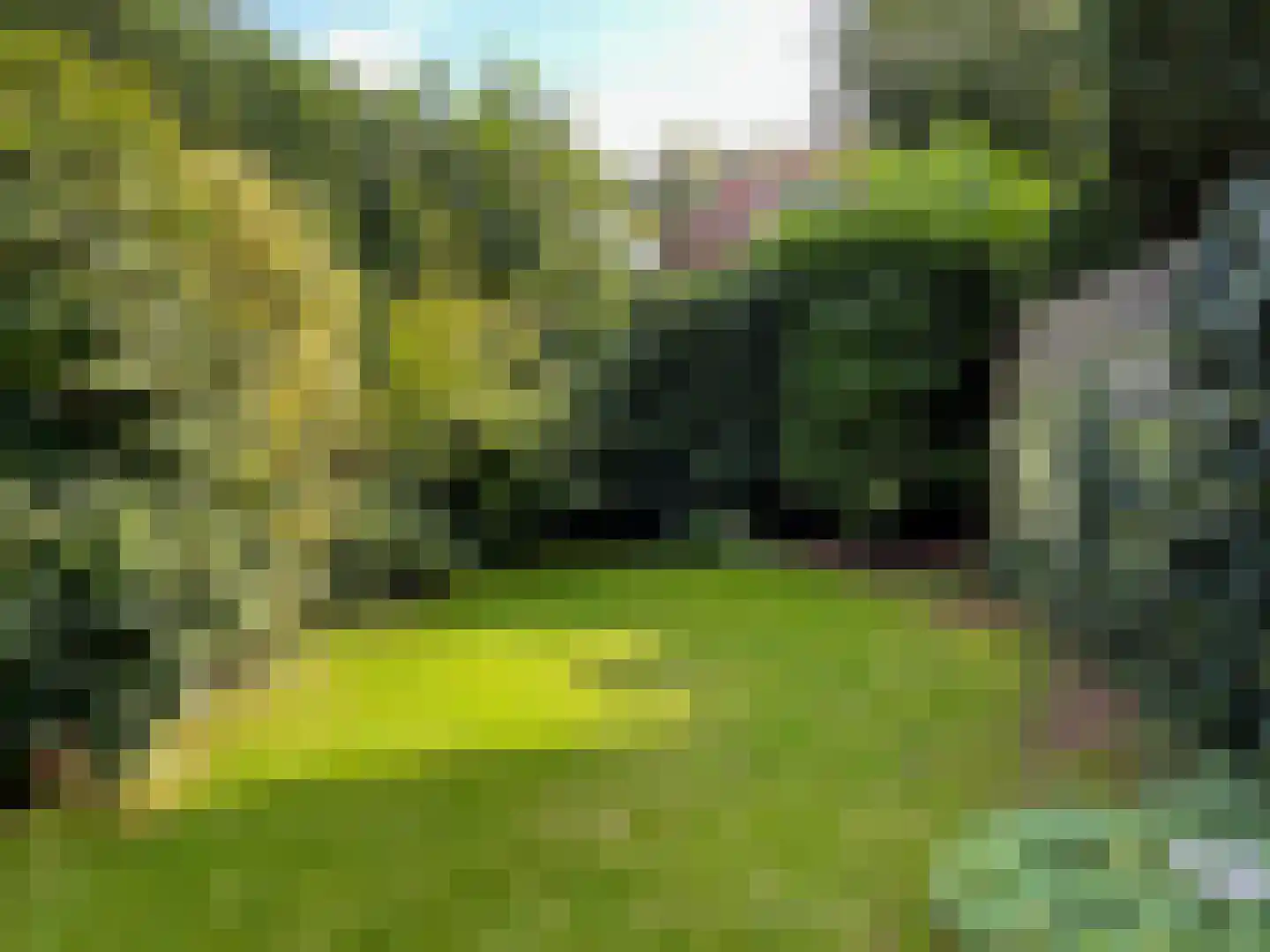 Molenweg 45 Baarn thumbnail 20