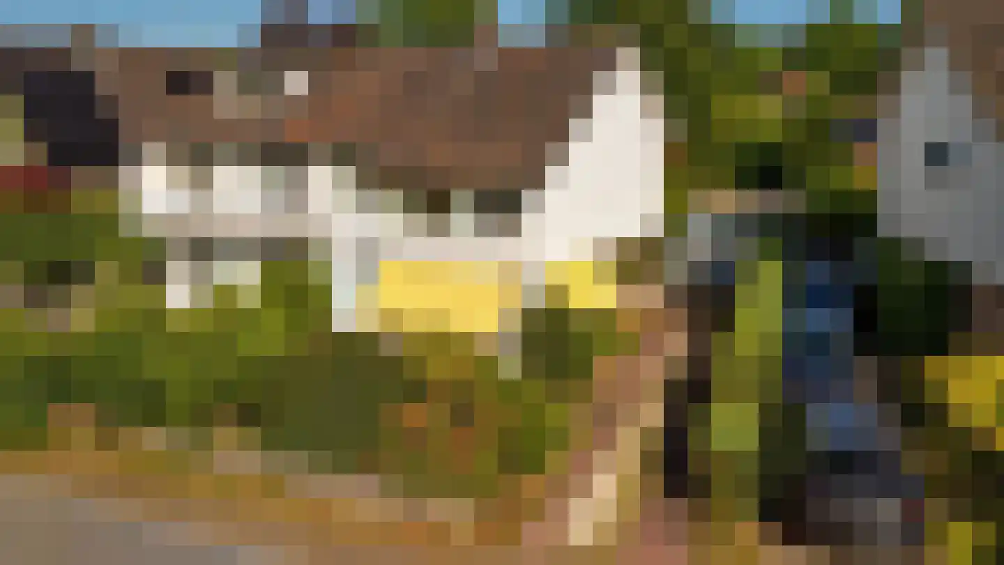 Molenweg 45 Baarn thumbnail 22