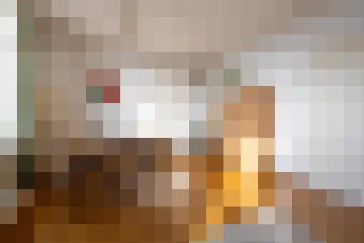 Molenweg 45 Bergharen thumbnail 11
