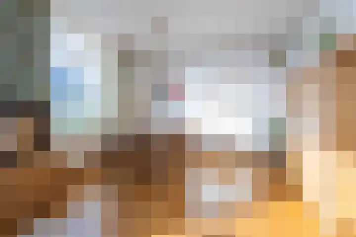 Molenweg 45 Bergharen thumbnail 12