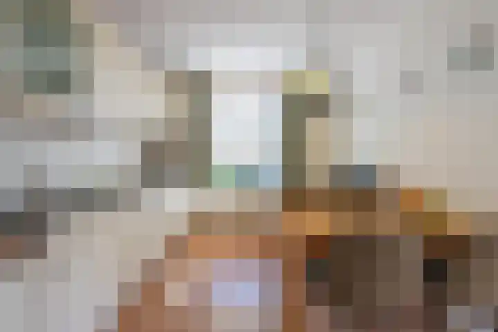 Molenweg 45 Bergharen thumbnail 16