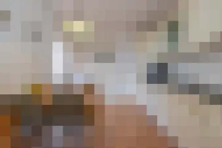 Molenweg 45 Bergharen thumbnail 17