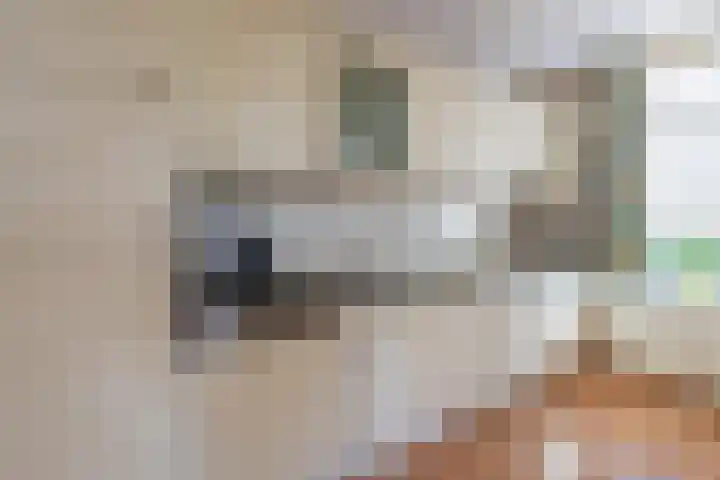 Molenweg 45 Bergharen thumbnail 18