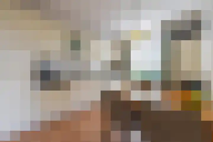 Molenweg 45 Bergharen thumbnail 19