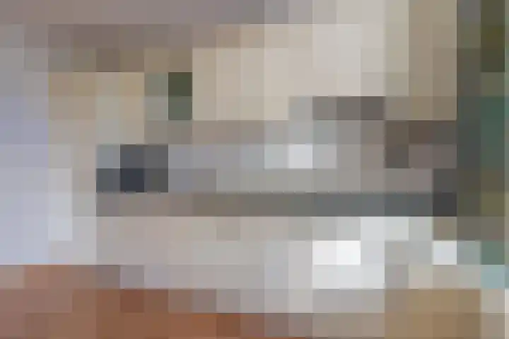 Molenweg 45 Bergharen thumbnail 20
